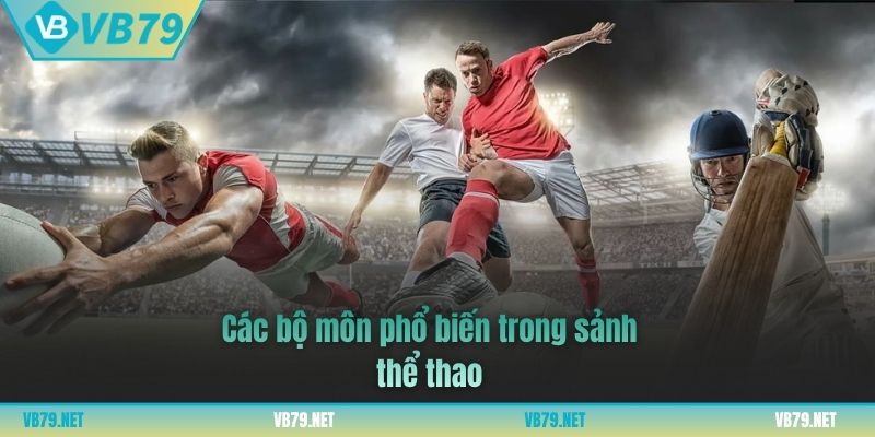 thể thao vb79