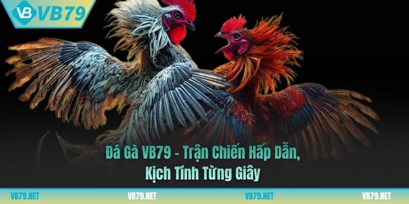 đá gà vb79
