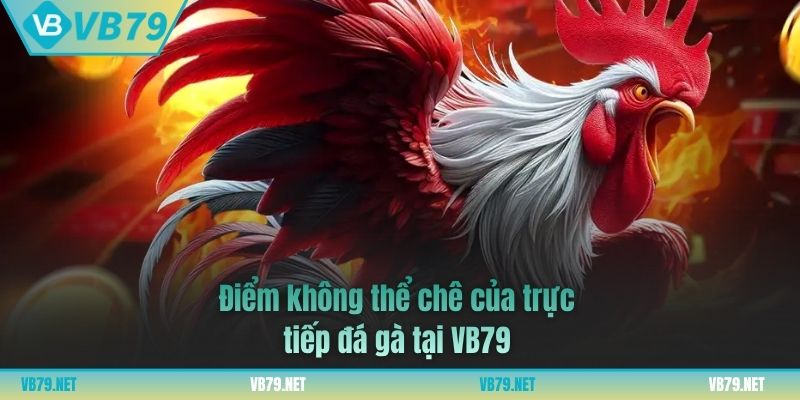 trực tiếp đá gà