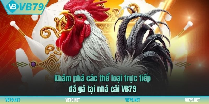 trực tiếp đá gà