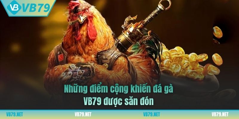 đá gà vb79