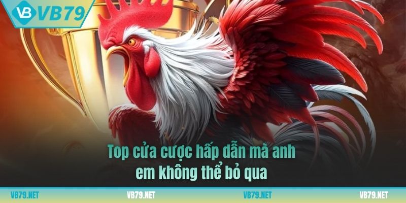 trực tiếp đá gà