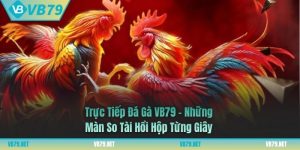 trực tiếp đá gà