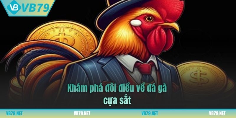 đá gà cựa sắt