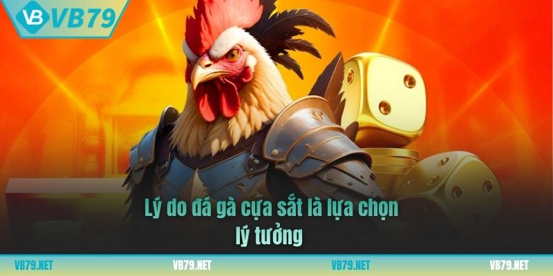 đá gà cựa sắt